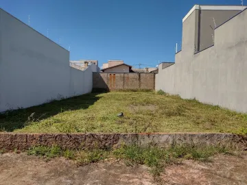 Uberaba Jardim Nene Gomes Terreno Locacao R$ 500,00  Area do terreno 250.00m2 