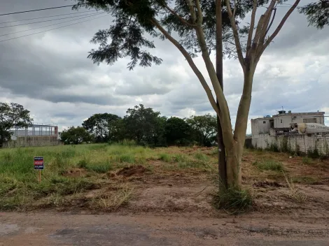 Alugar Terreno / Área em Uberaba. apenas R$ 1.000.000,00